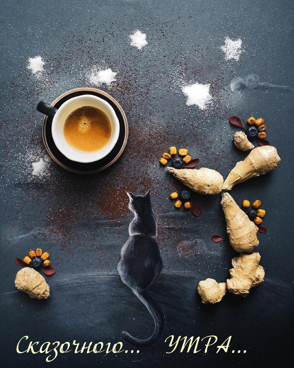 Кот и васильки