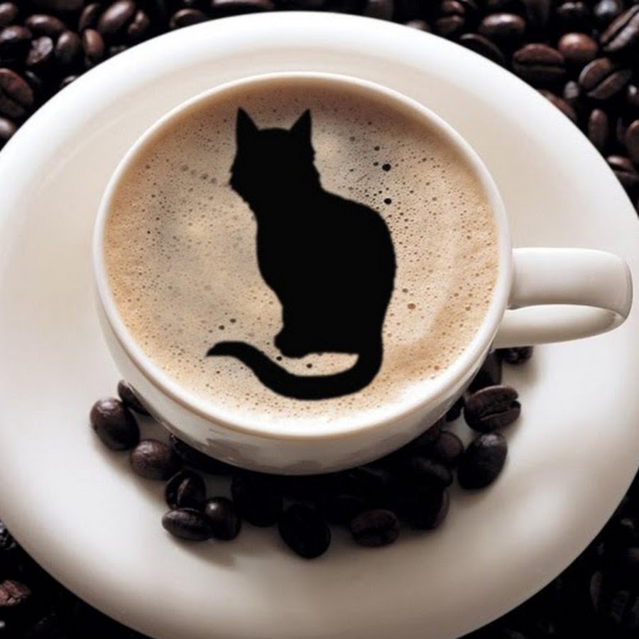 Котик с кофе