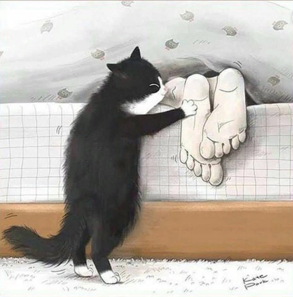 Чаепитие с котом