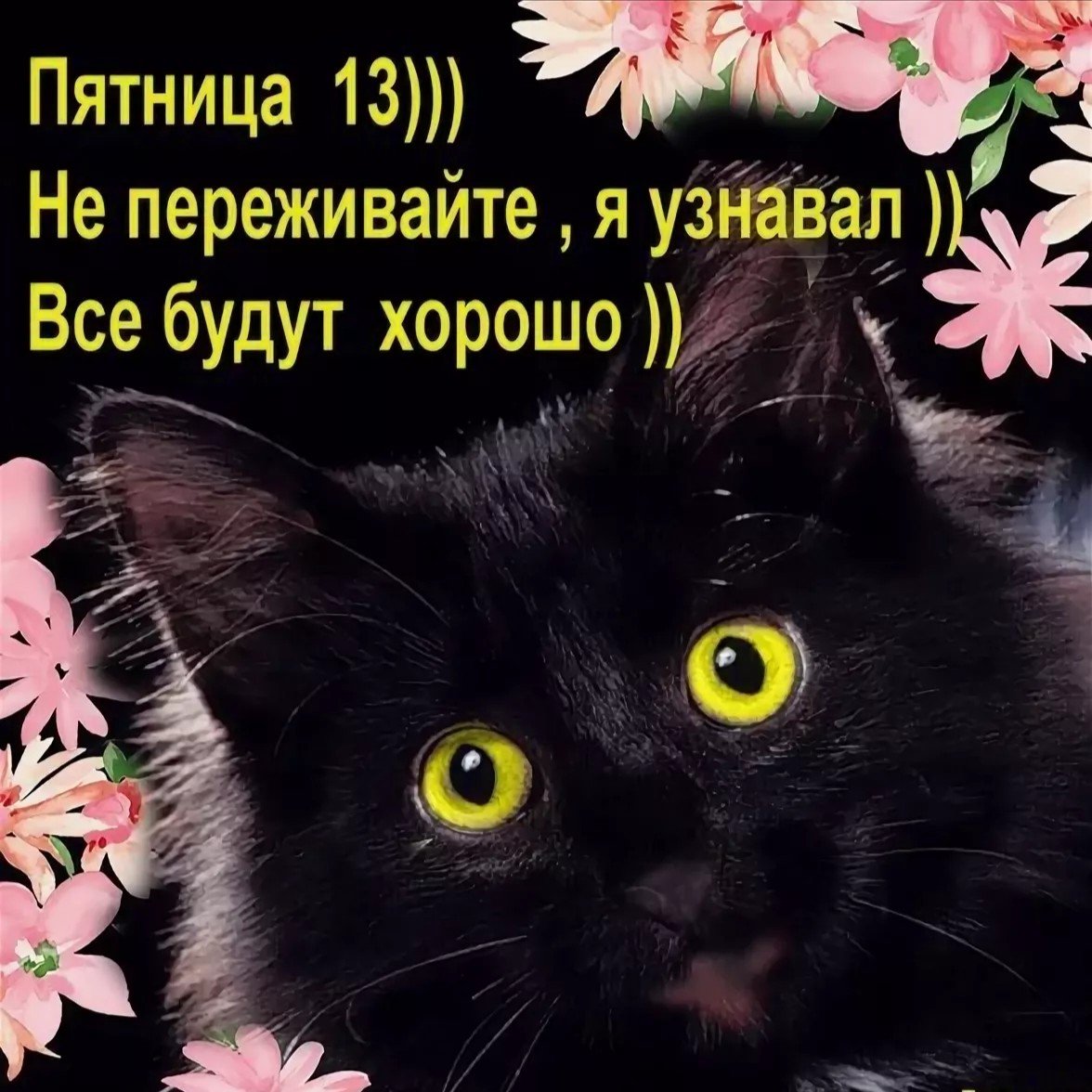 Доброе осеннее утро с котиками