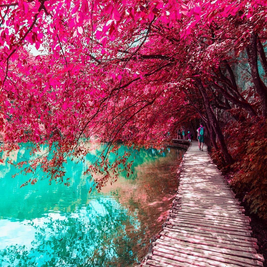 Красивые яркие картинки