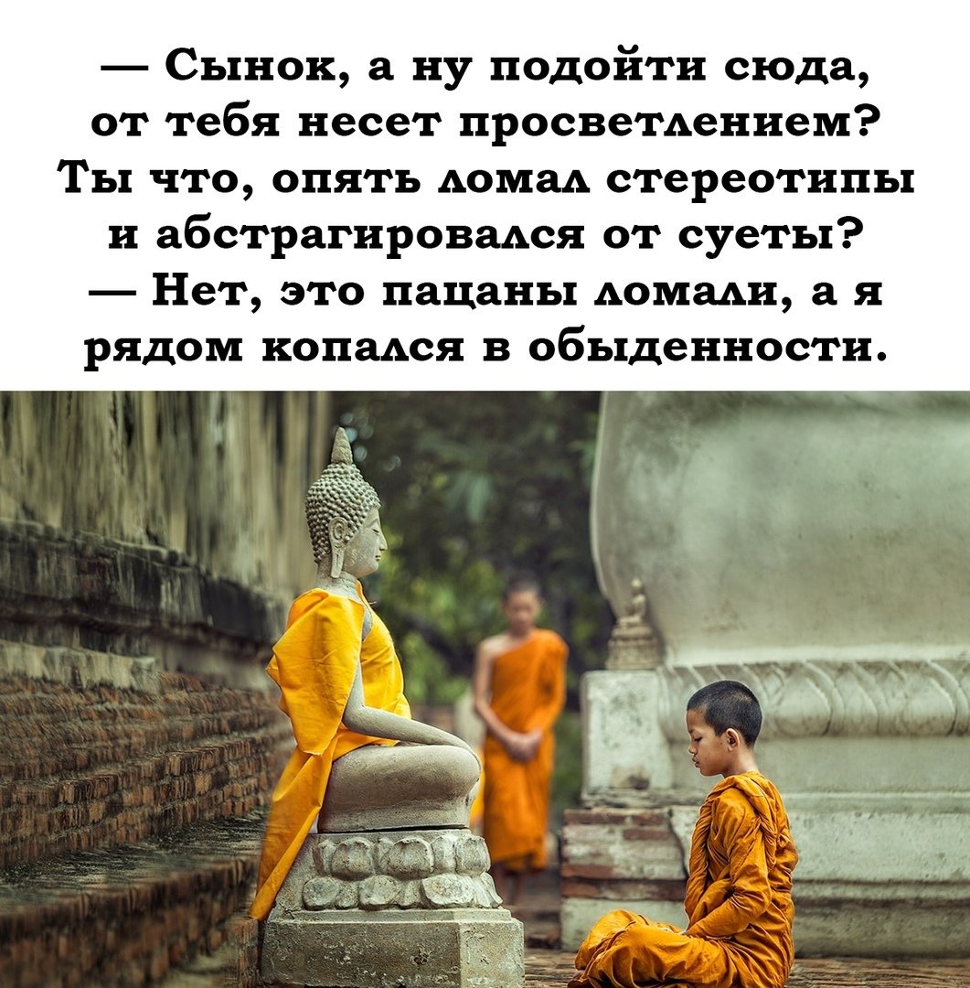 Вампиры и йога юмор