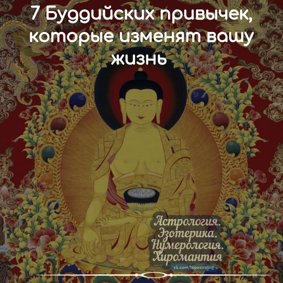 Буддийский юмор телеграмм