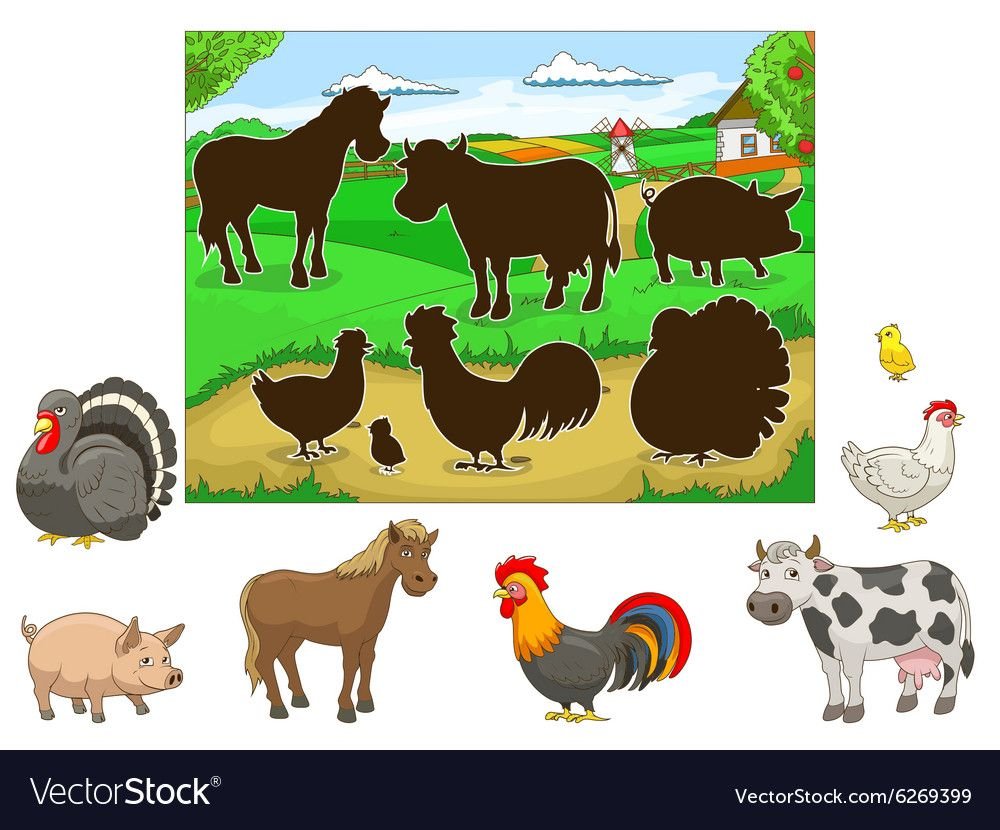 Чья тень домашние животные