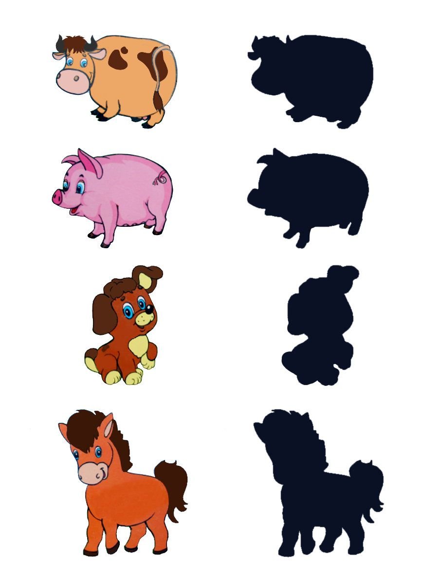 Чья тень домашние животные