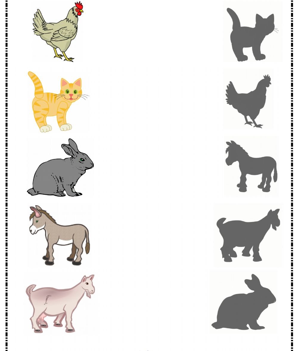 Домашние животные задания тени