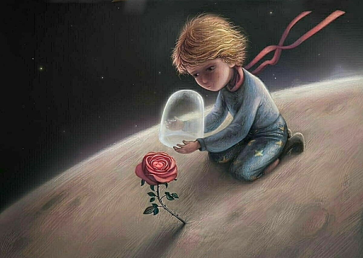 Экзюпери маленький принц роза