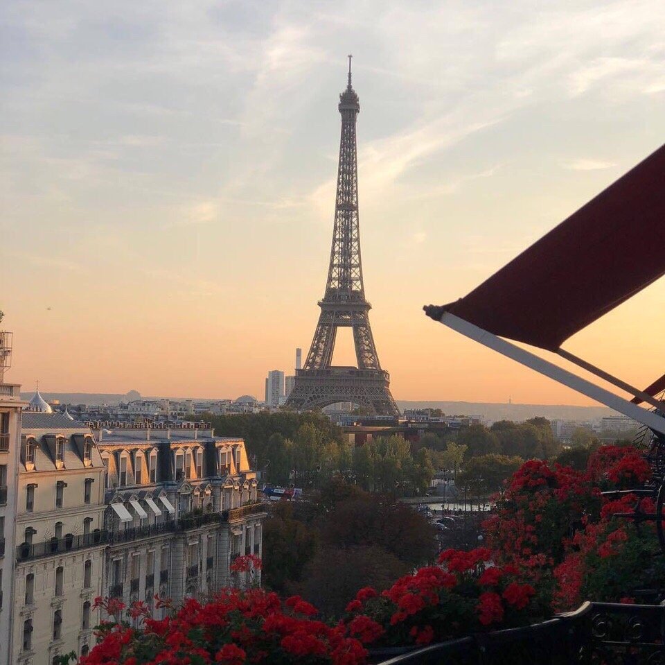 Эмблемы Франции для фона