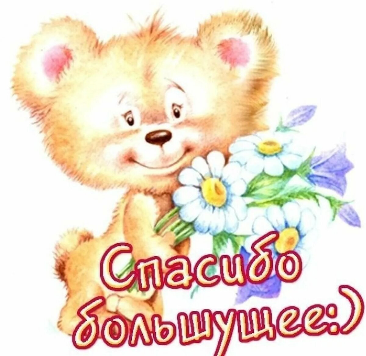 Спасибо за поздравления