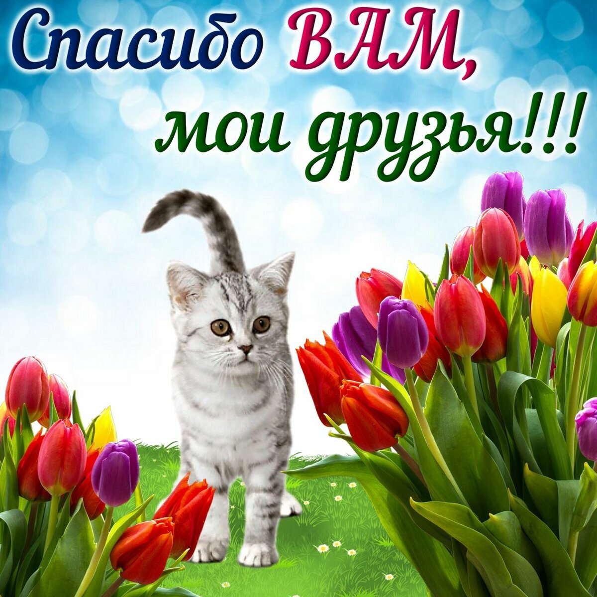 Открытки для поднятия настроения