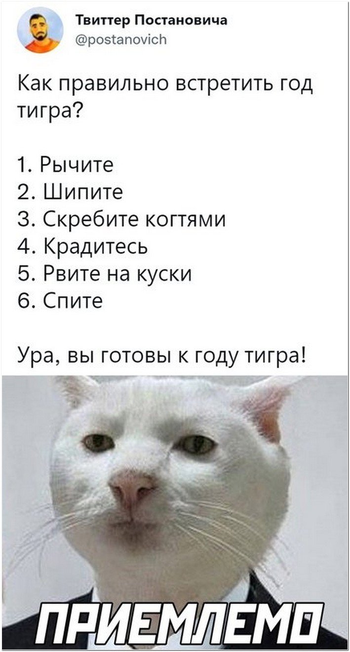 Картинки на дистанционке смешные картинки