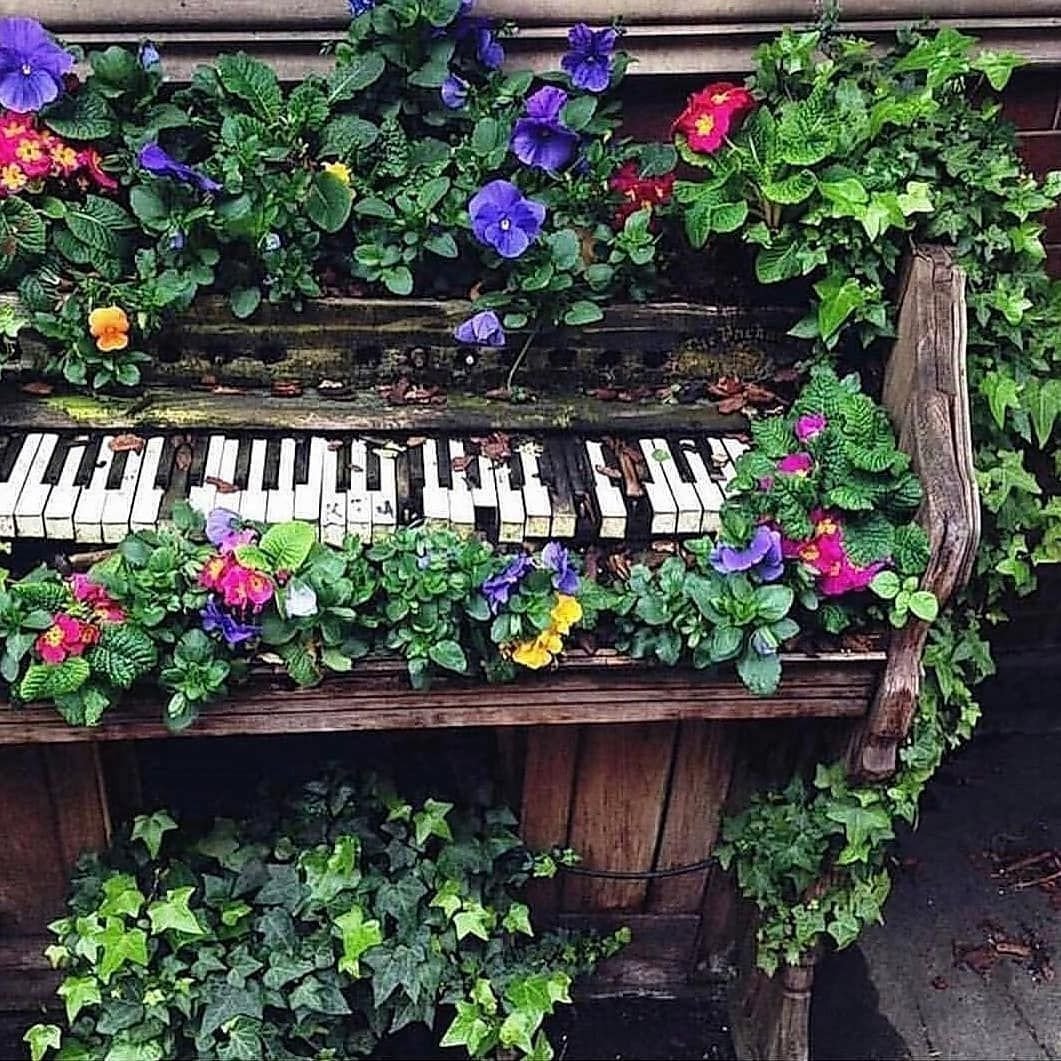 Клумба пианино
