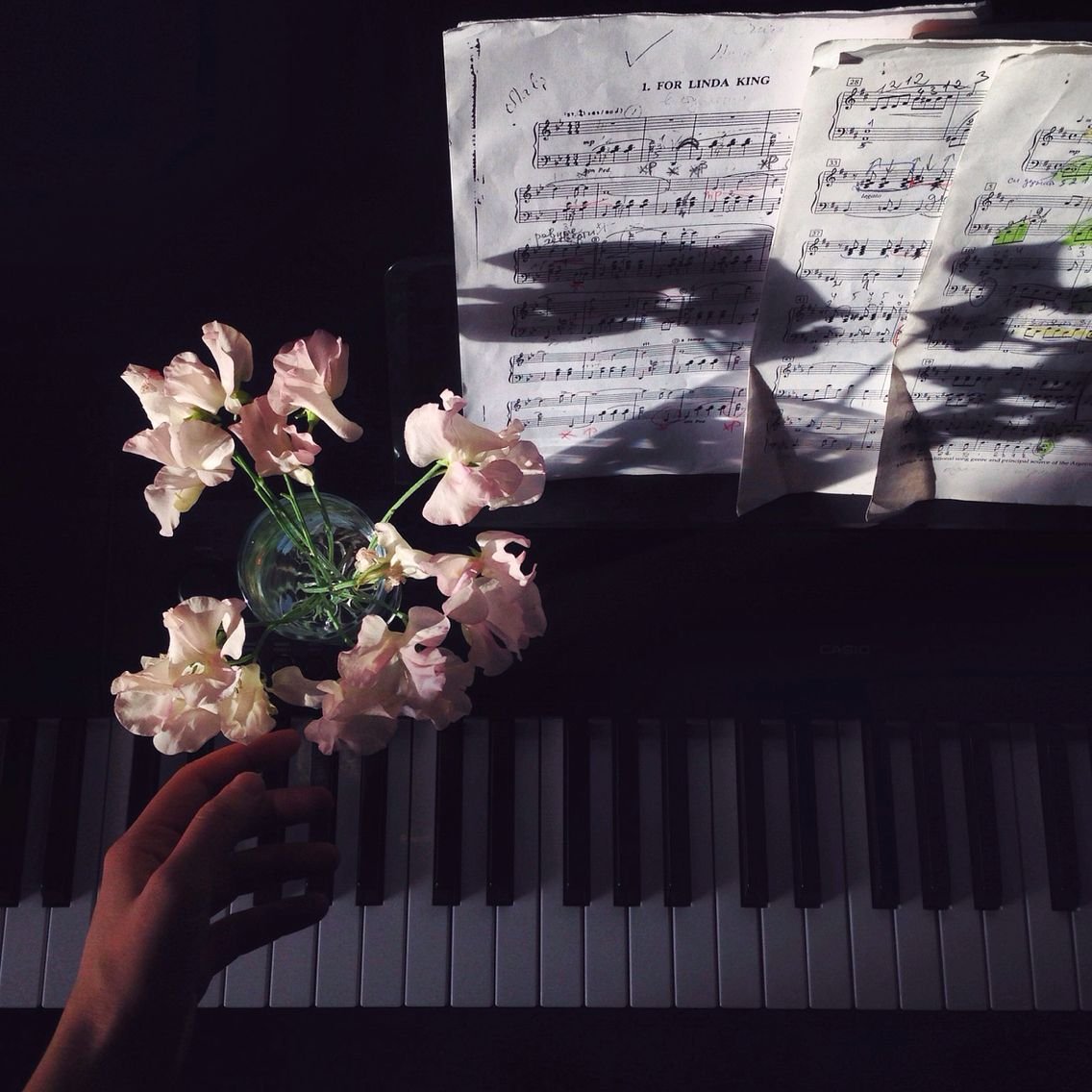 Эстетики пианино