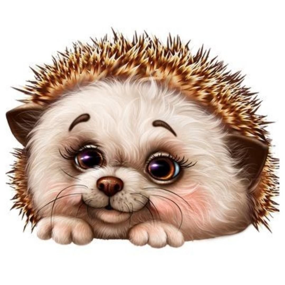 Ежик картинка