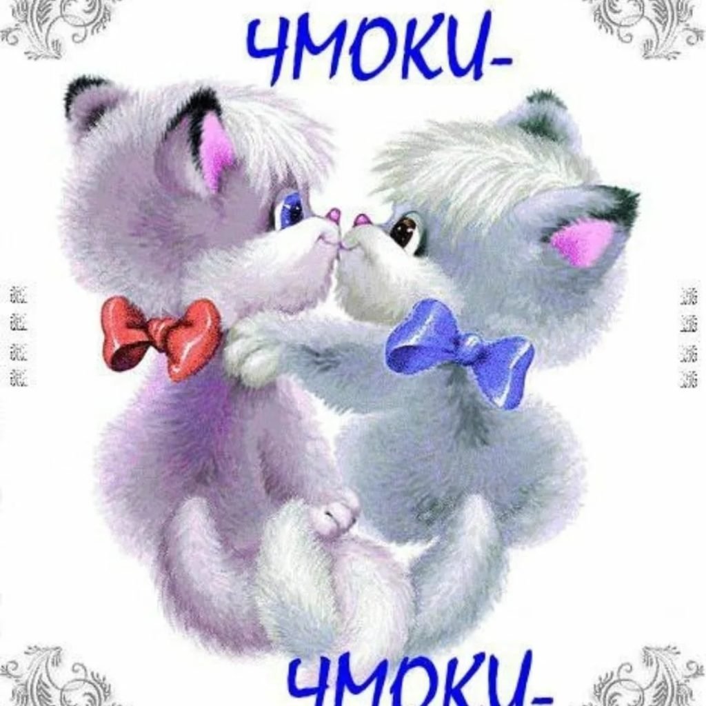 Открытка целую