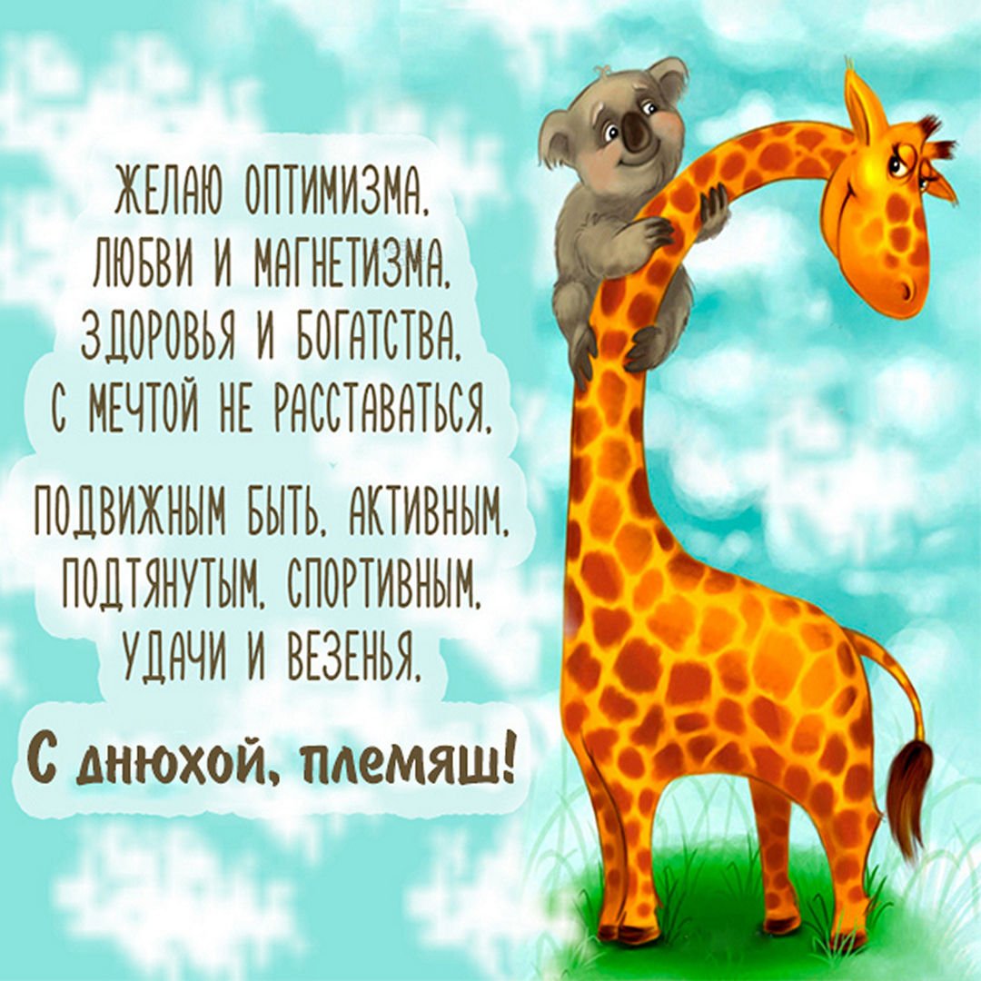 Высказывания про Жирафов