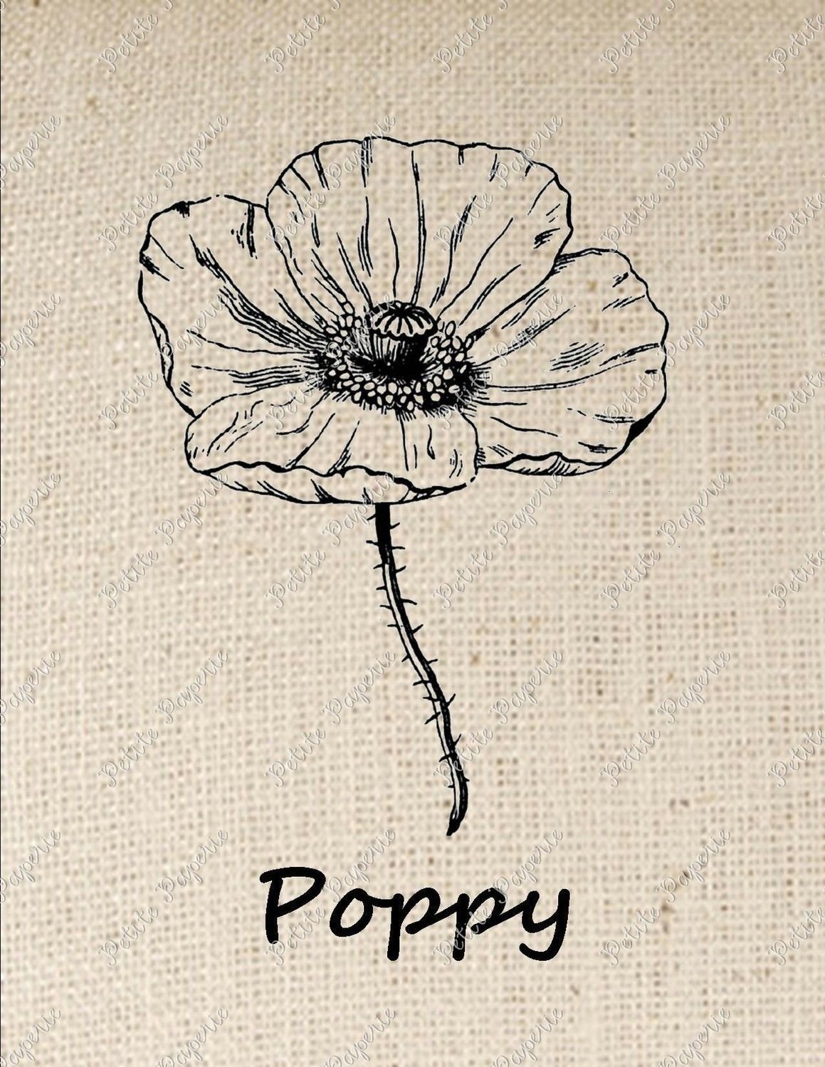 Мак рисунок Минимализм