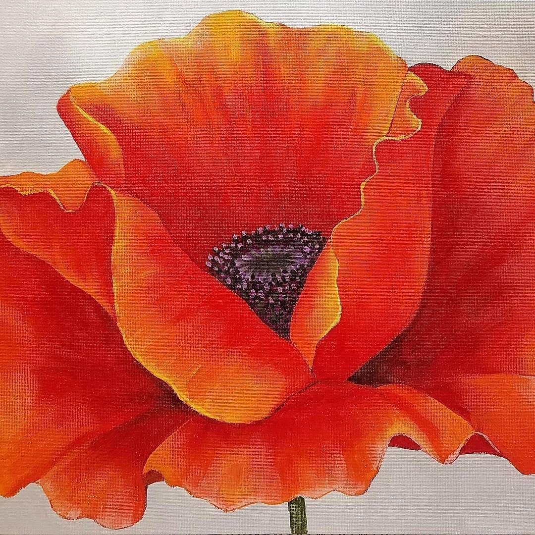 Мак красками