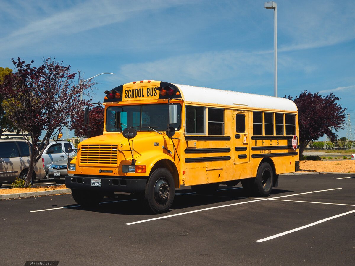 Школьный автобус