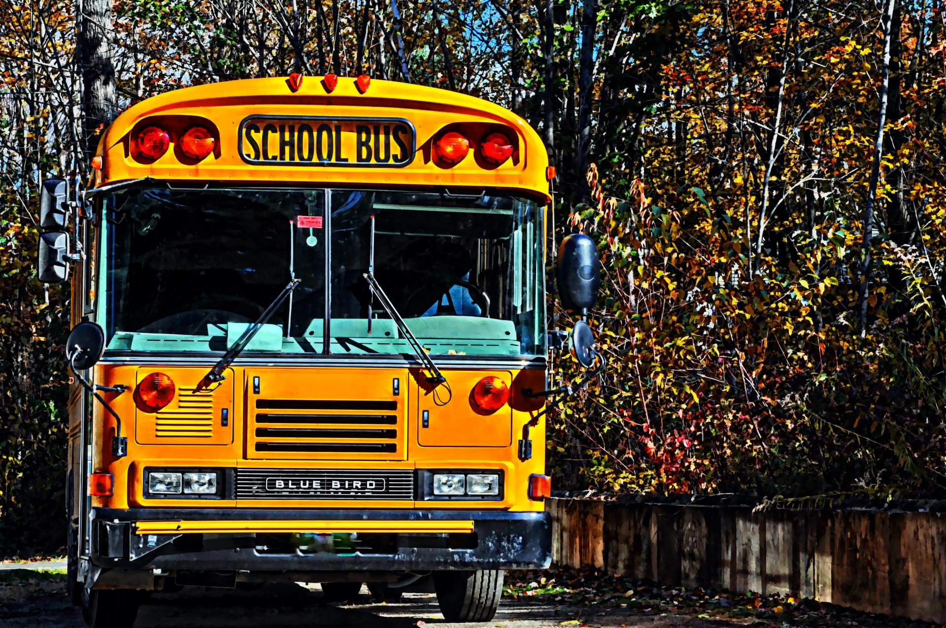 School bus. Школьный автобус. Автобус осенью. Автобус осень. Старый автобус осень.