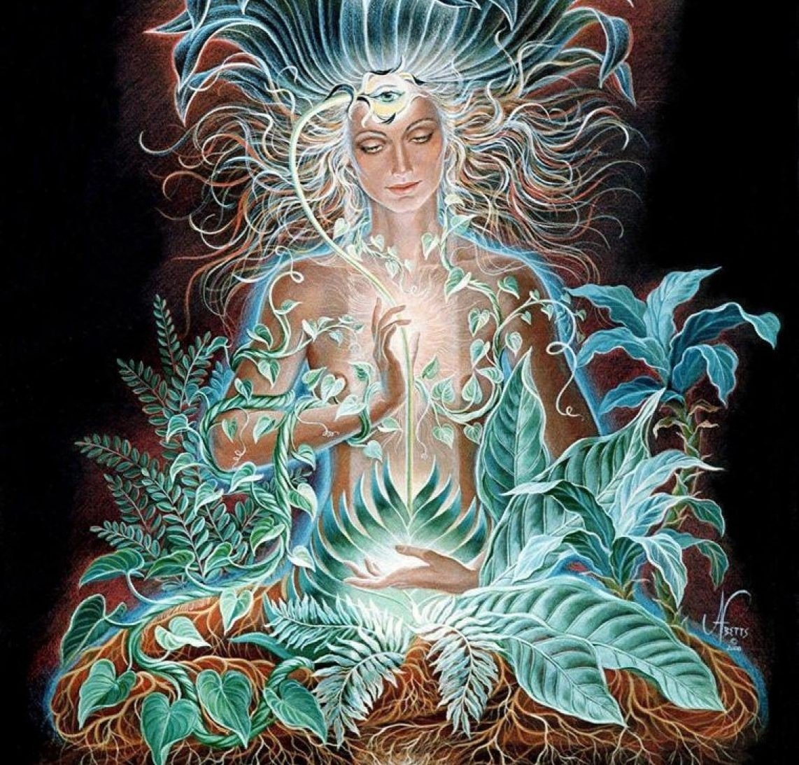 Аяваска богиня