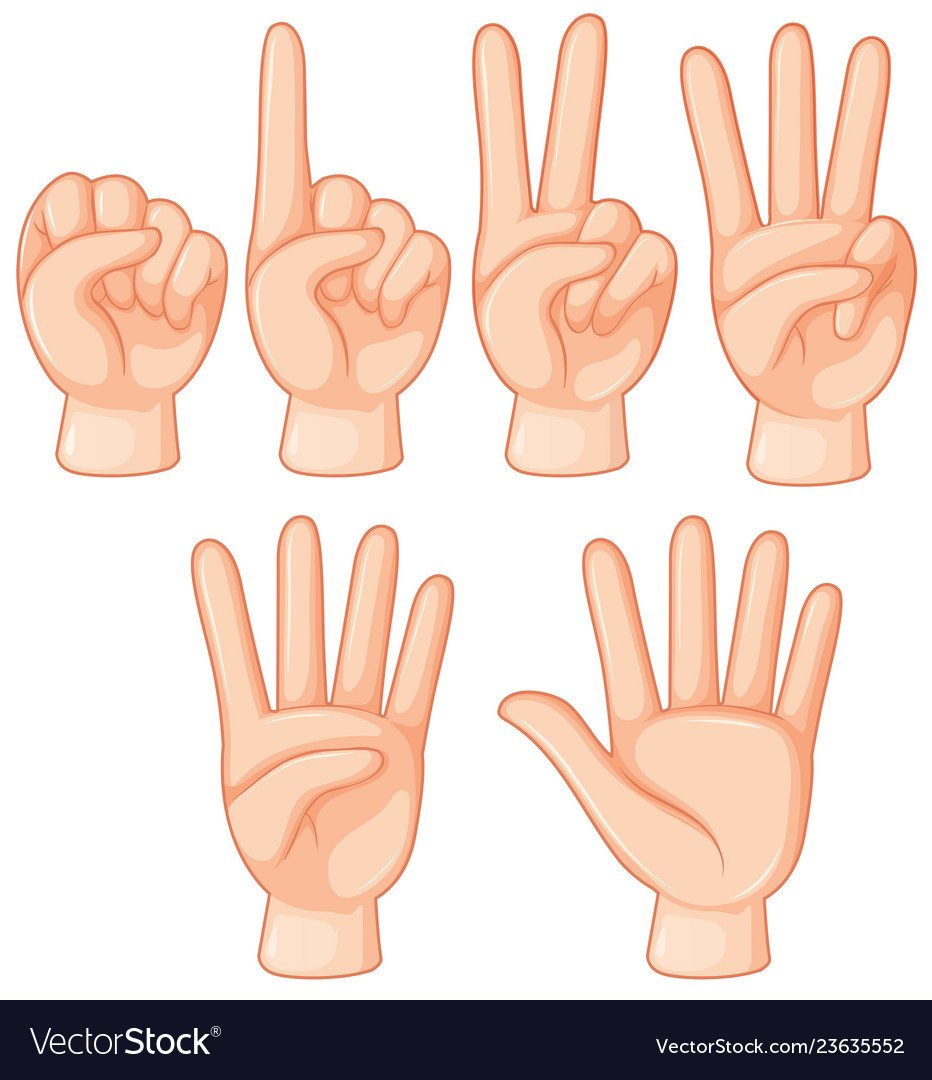 Жесты рук вектор
