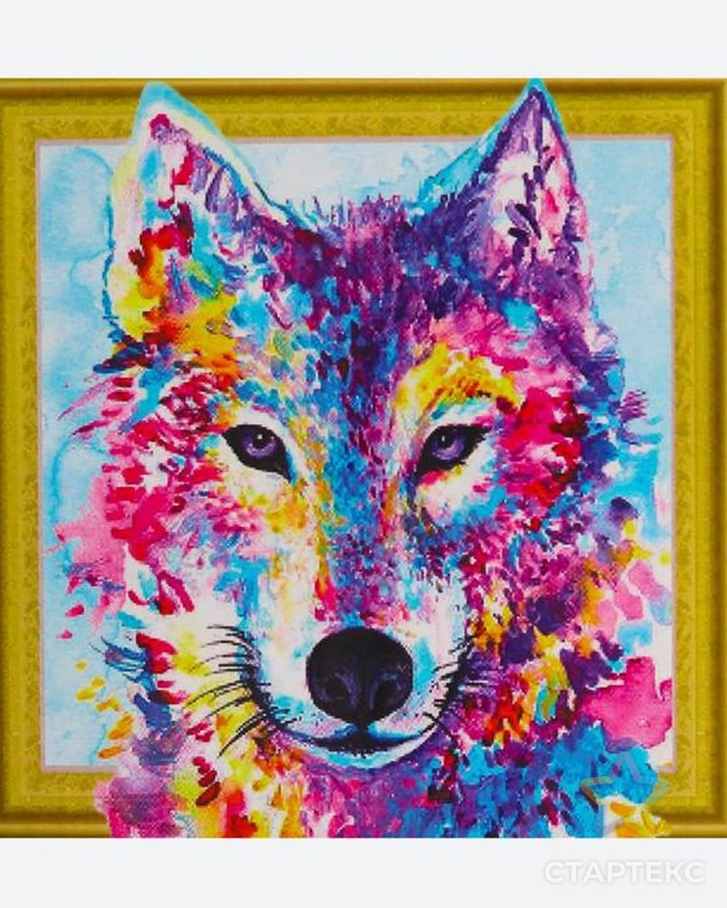 Волк красками