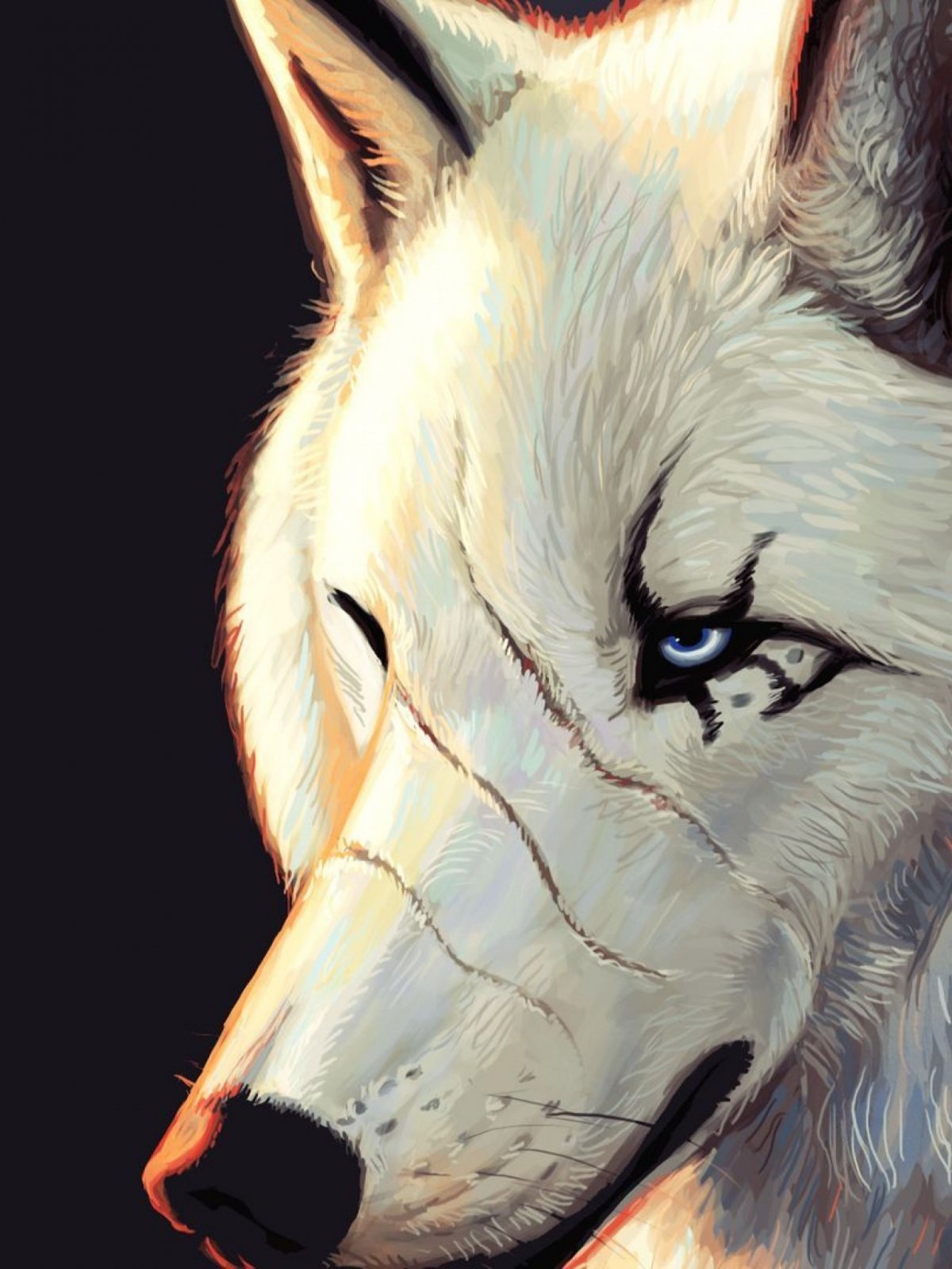 Звездный волк