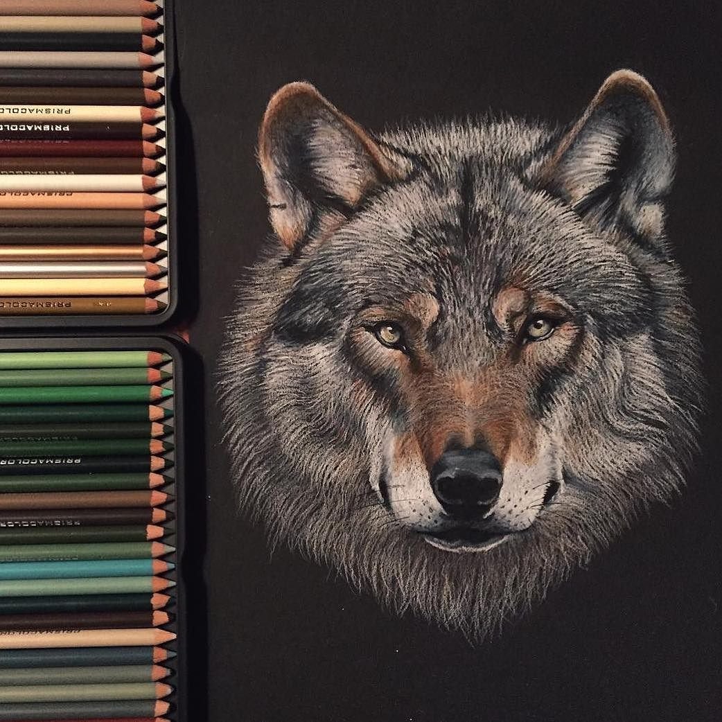 Волк космос