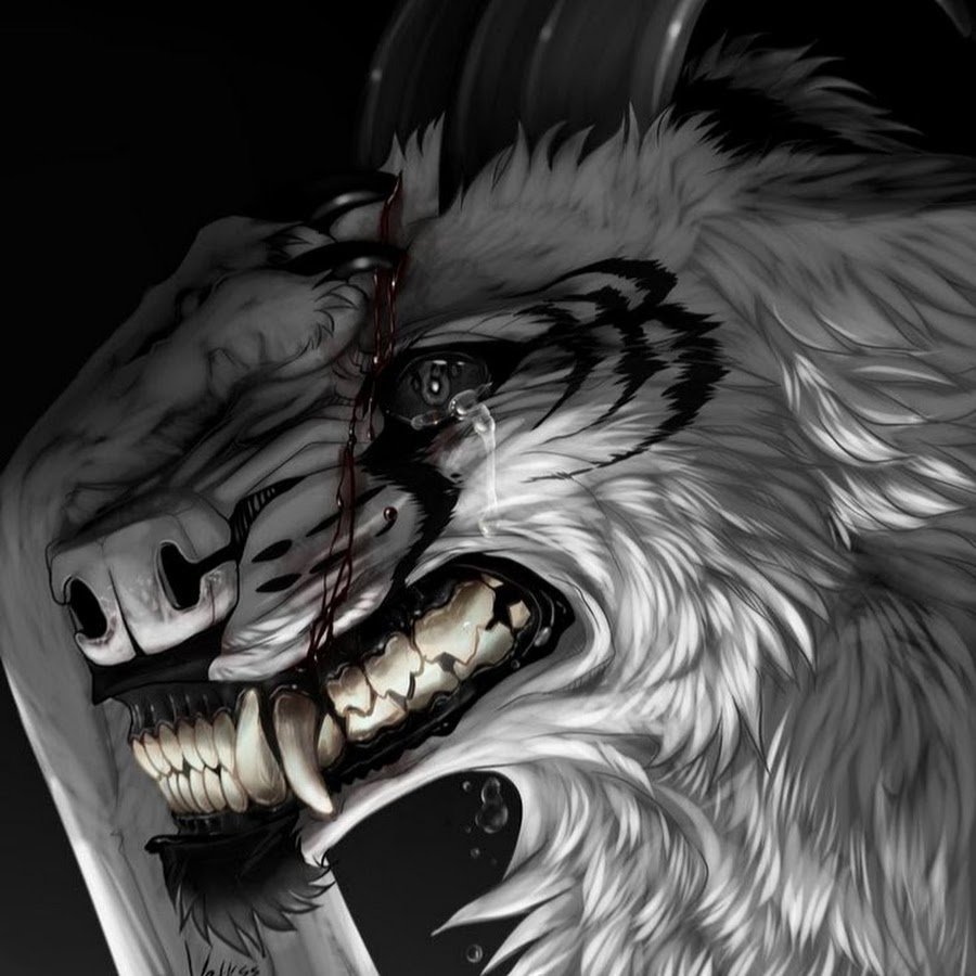 Красивый волк