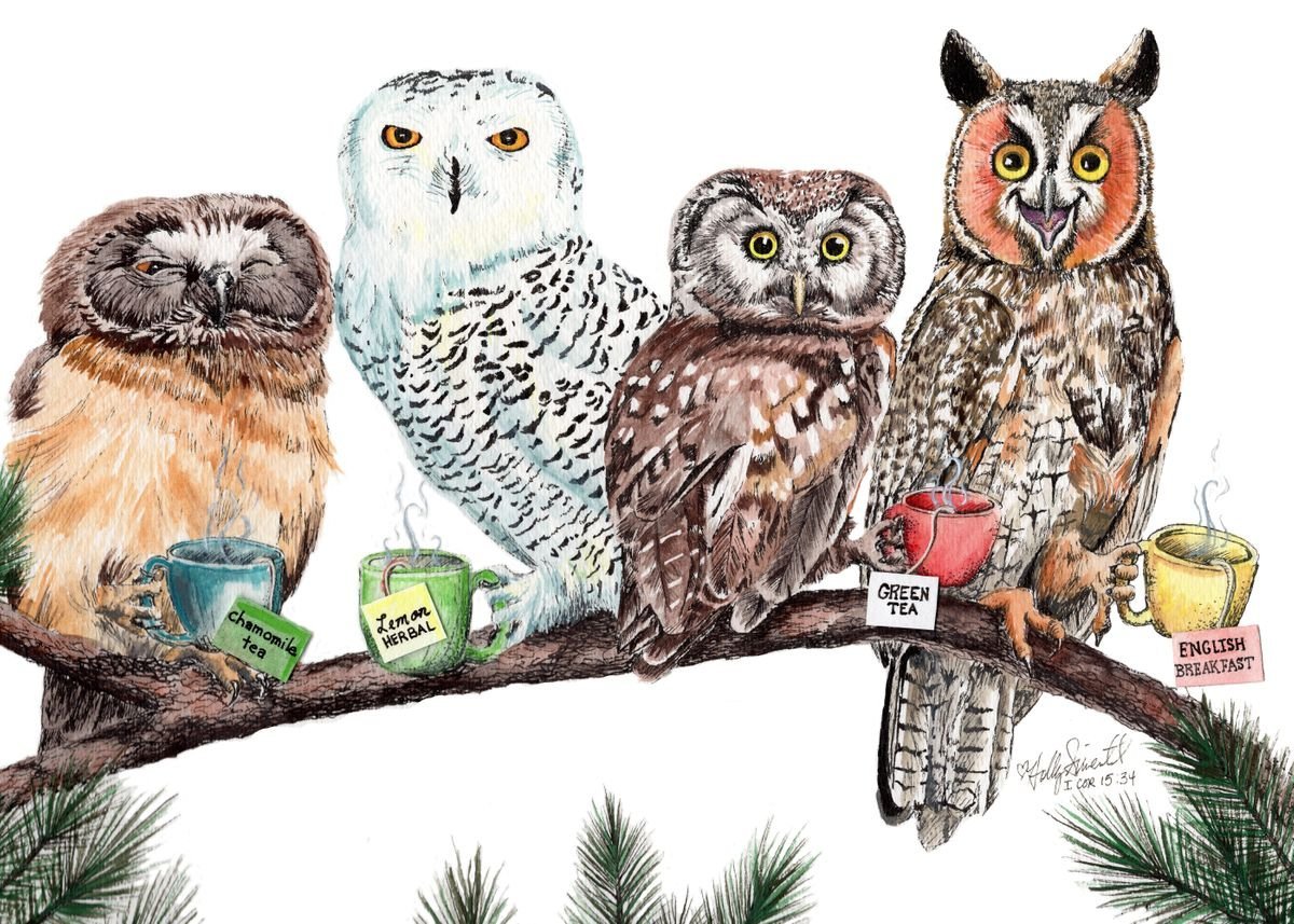 Сова пьет чай