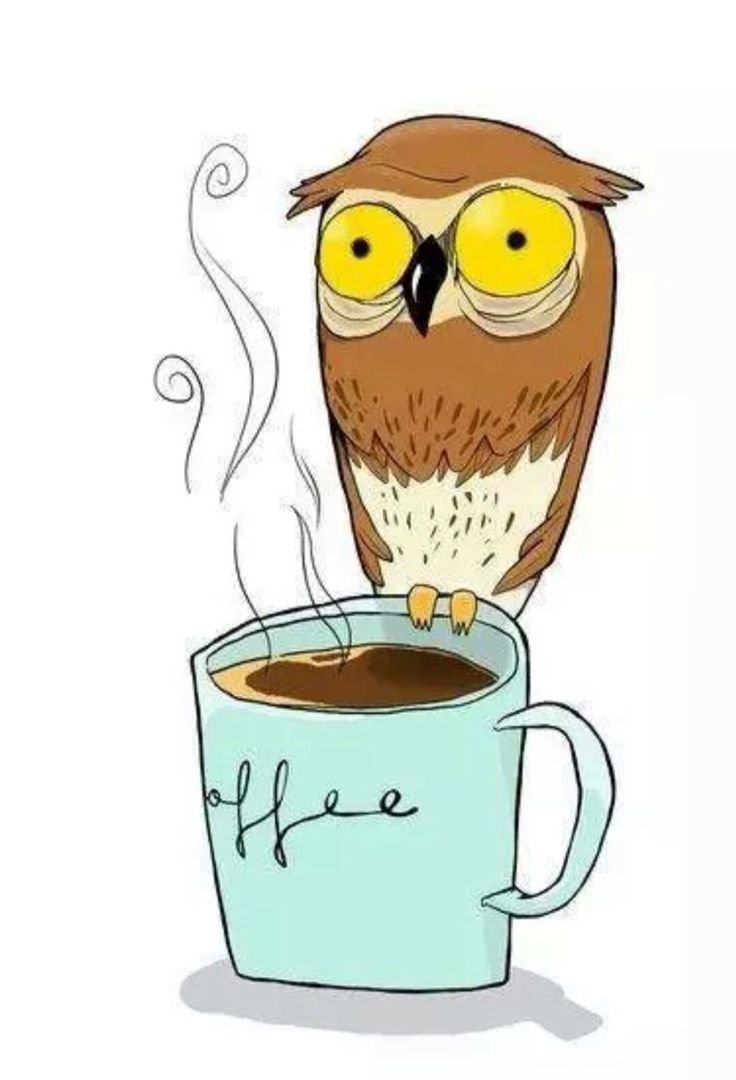 Сова с кофе
