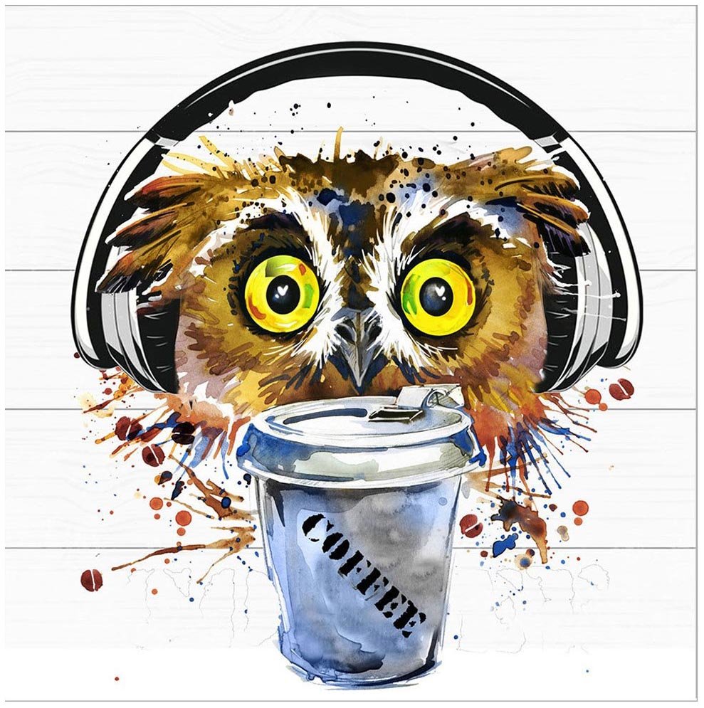 Сова в наушниках