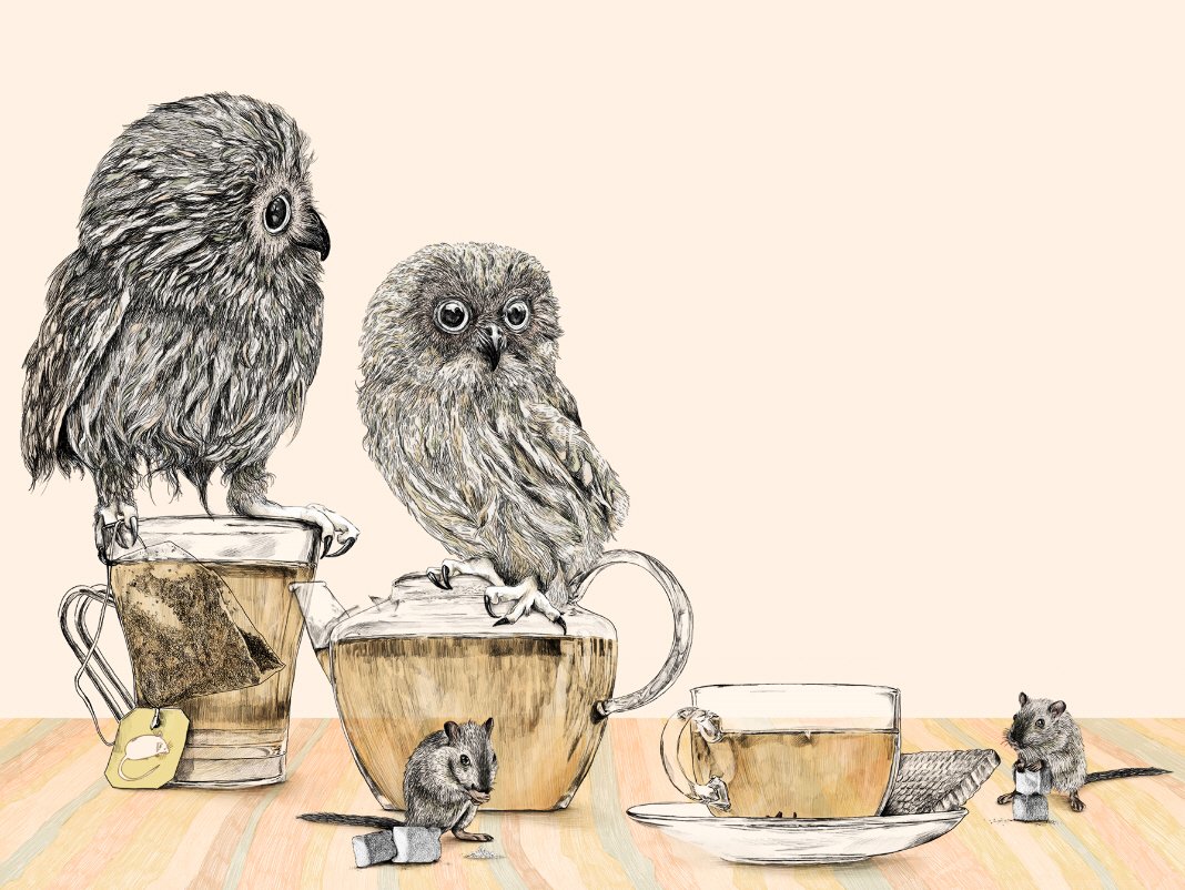 Совушка с чаем