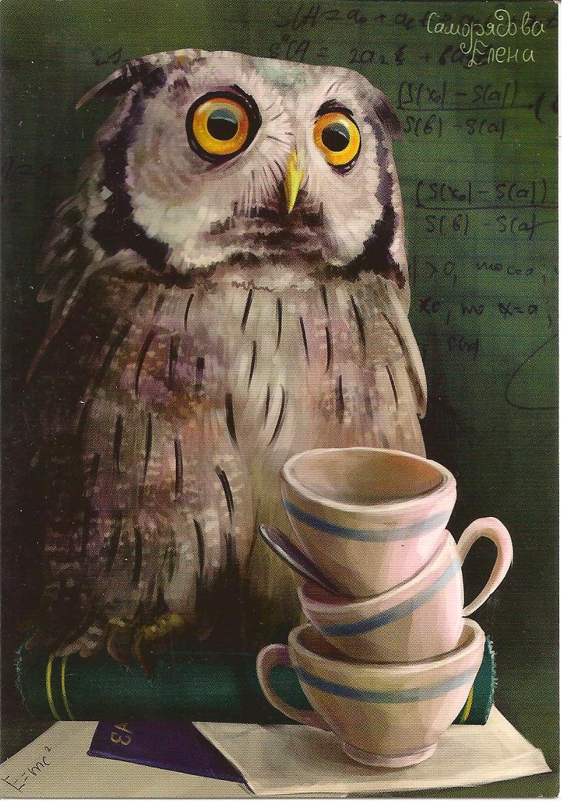 Саморядова Елена картины