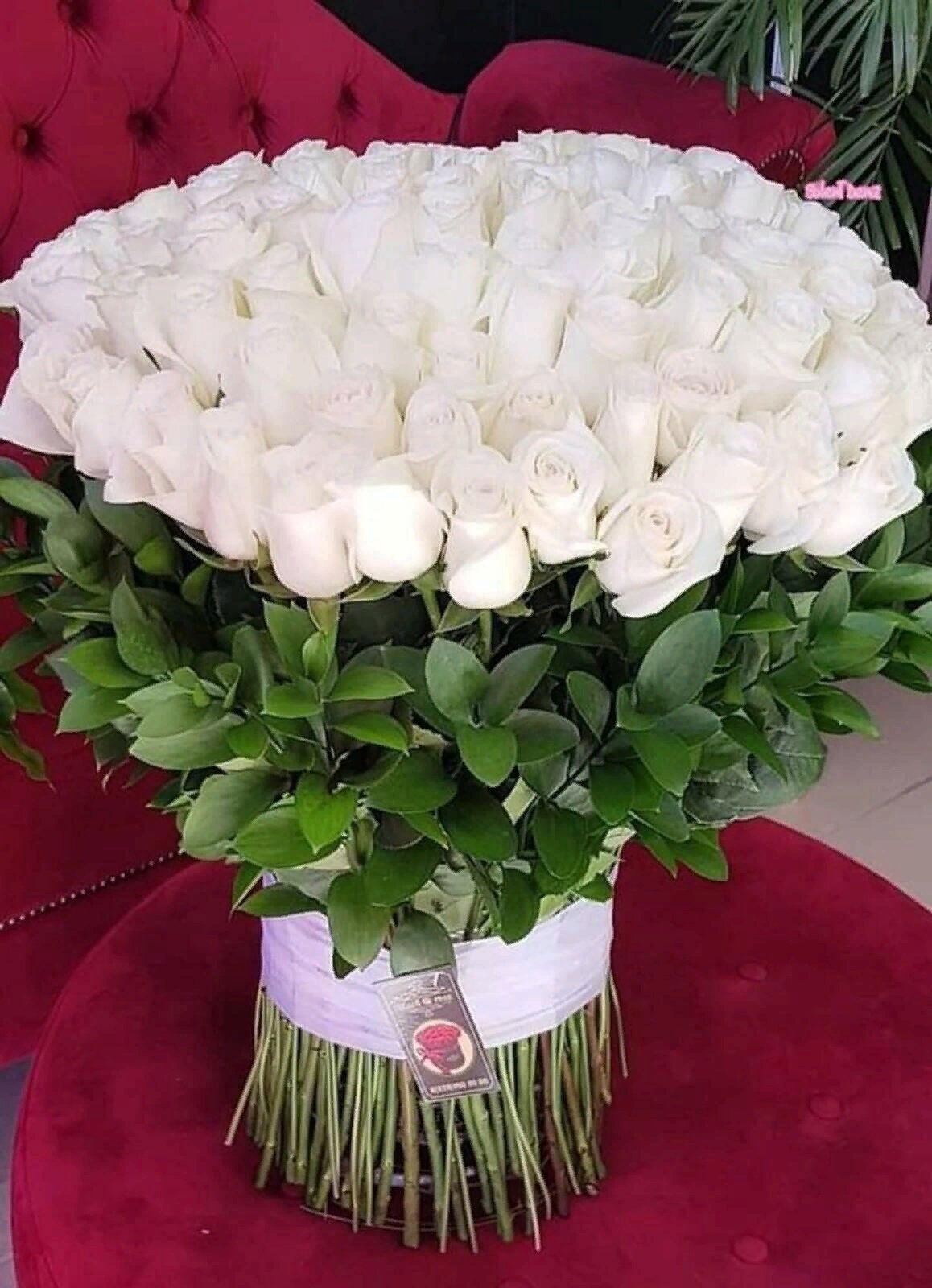 Шикарный букет роз с добрым вечером