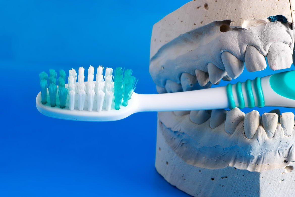 Зубная щетка и челюсть