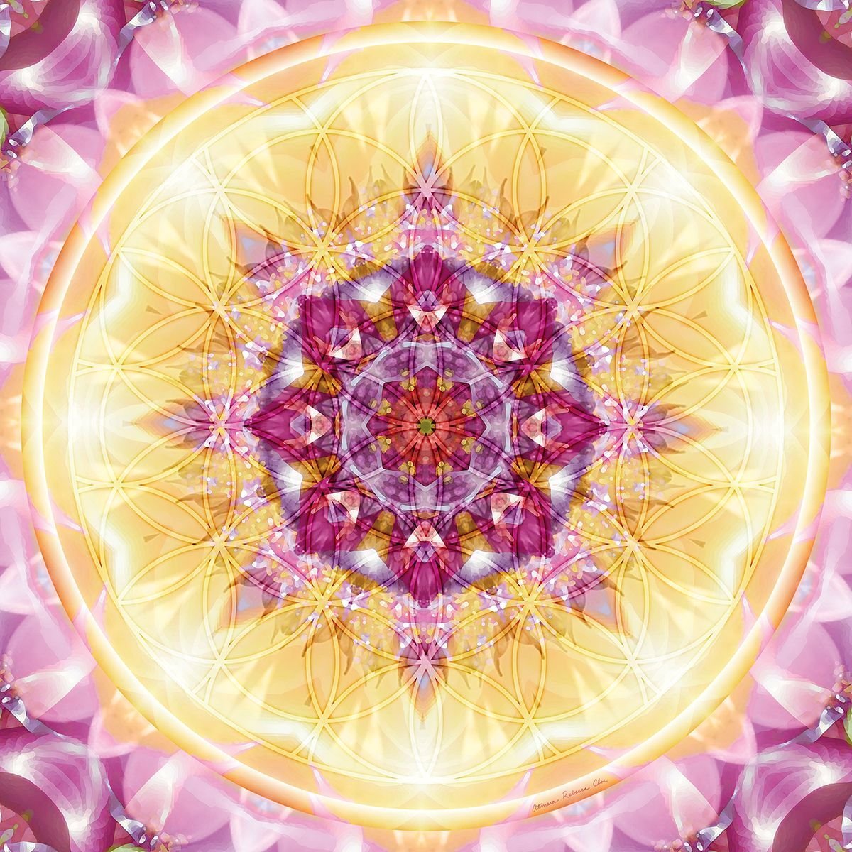 Мандала изобилие Вселенной Габо