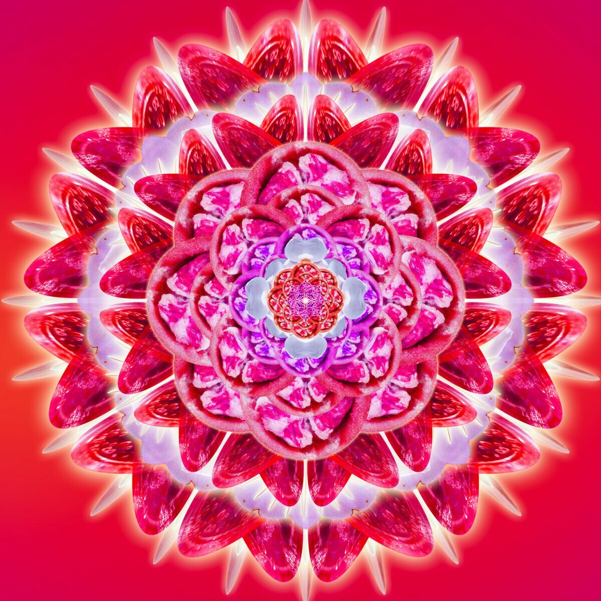 Мандала Кутхуми