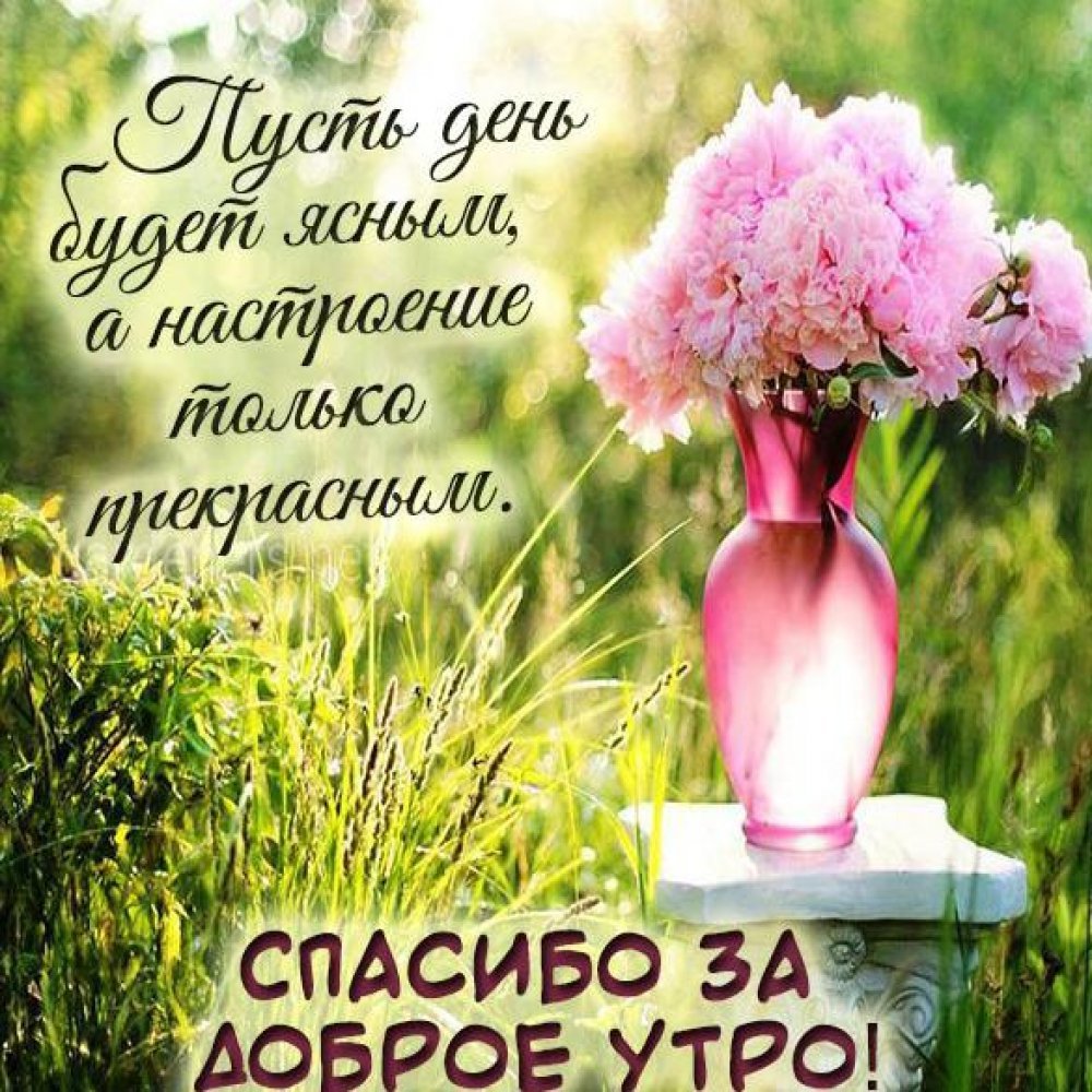 С добрым утром семья