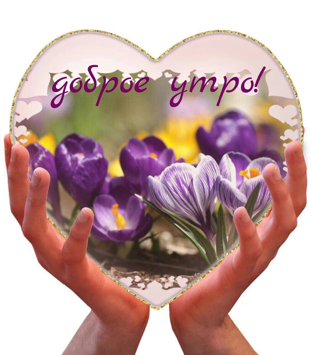 Доброе утро спасибо