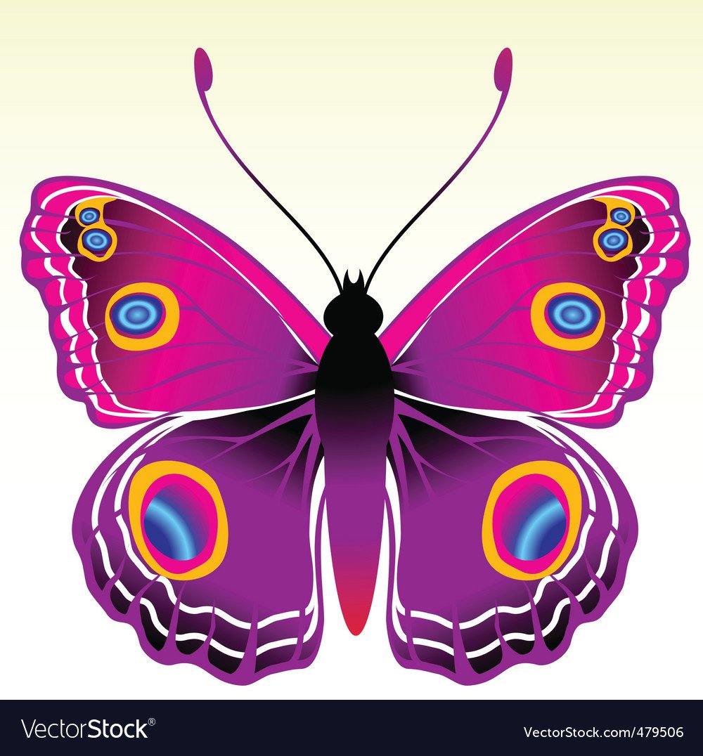 Бабочки картинки нарисованные