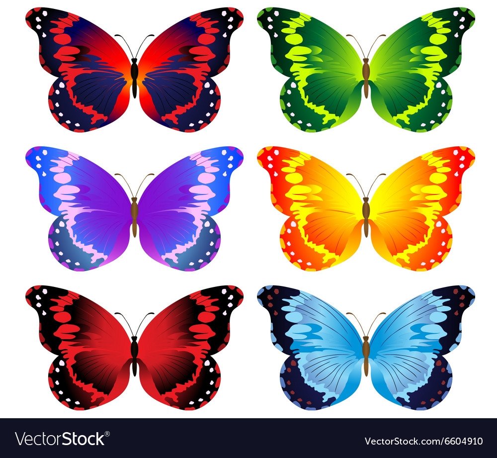 Разноцветные бабочки для вырезания