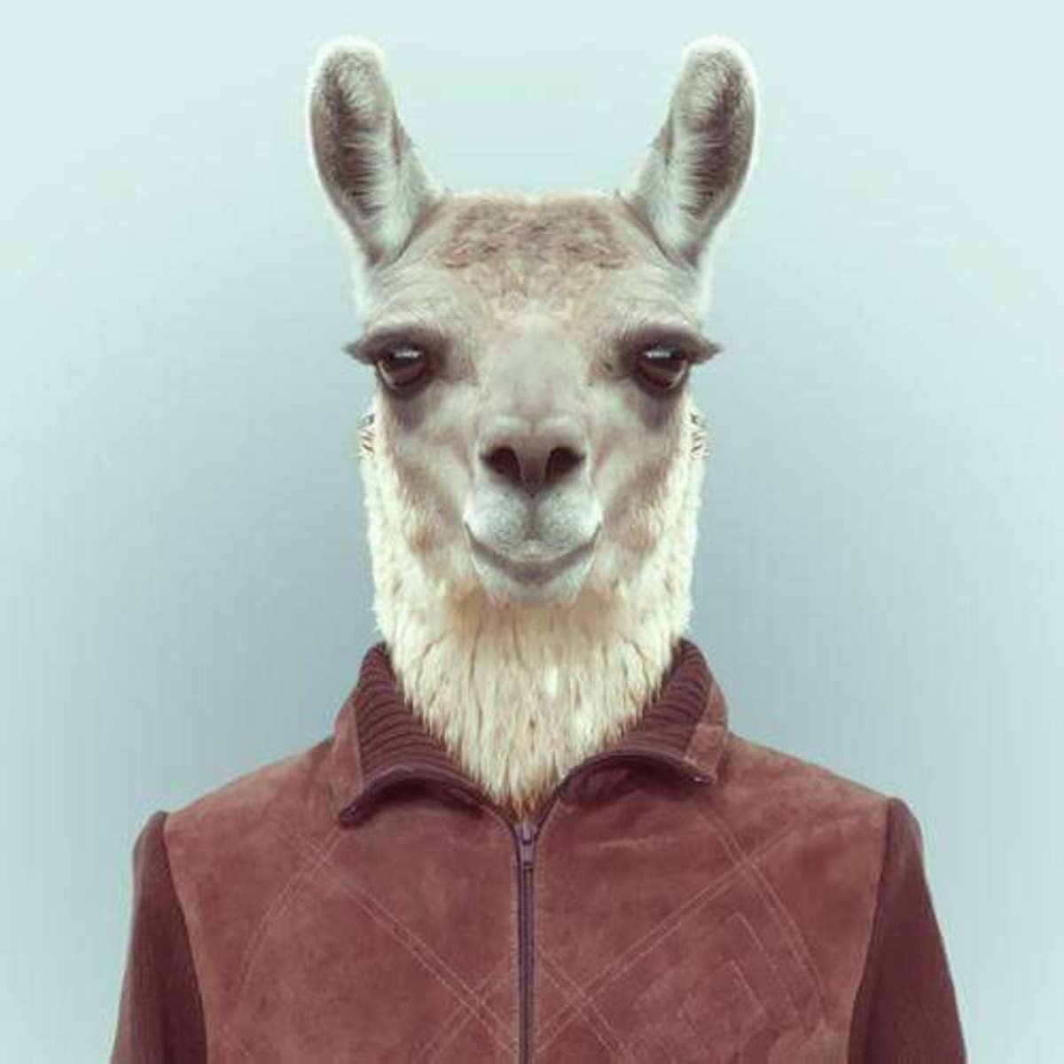 Матвей Хрипаченко