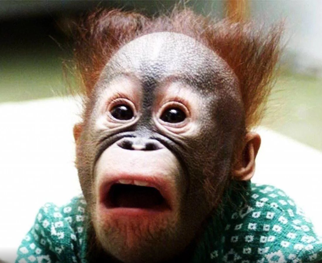 Белочка в военной форме