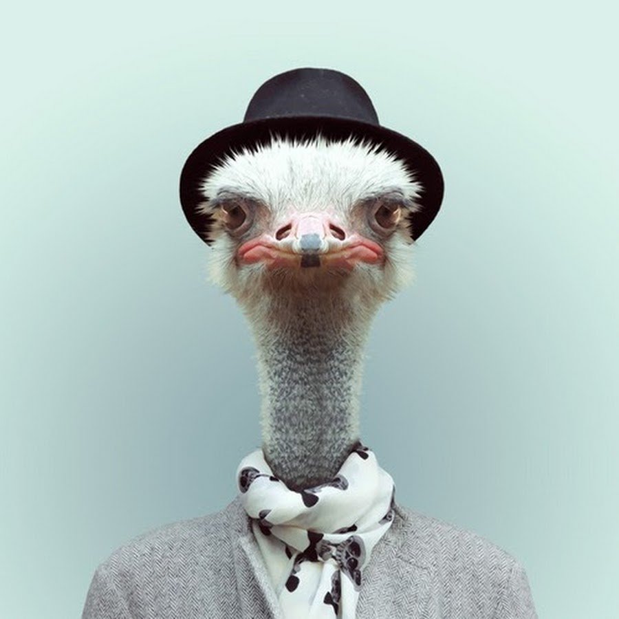 Банда зверей