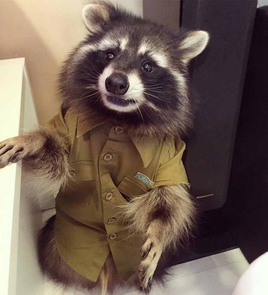 Грустная Белочка