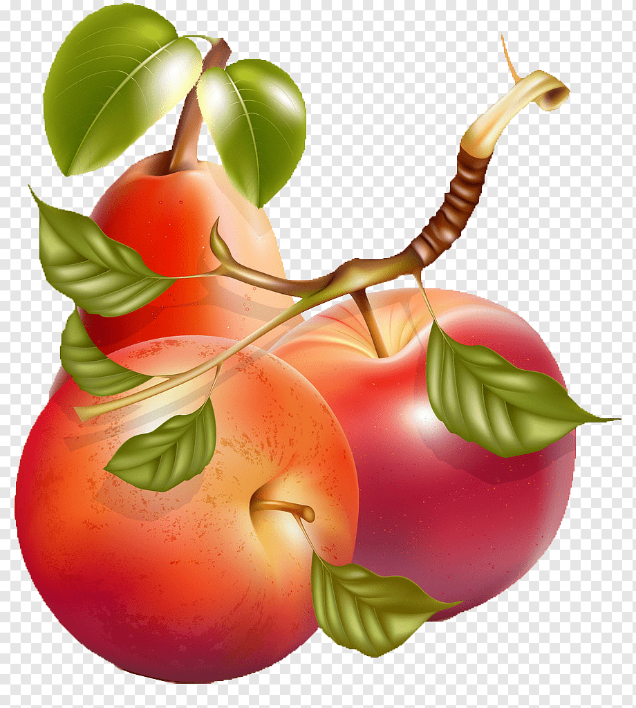 Веселые фрукты