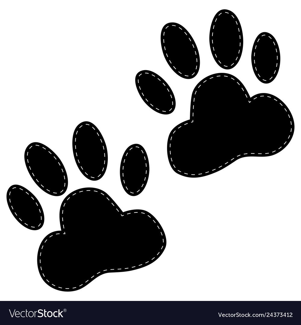 Следы ежика