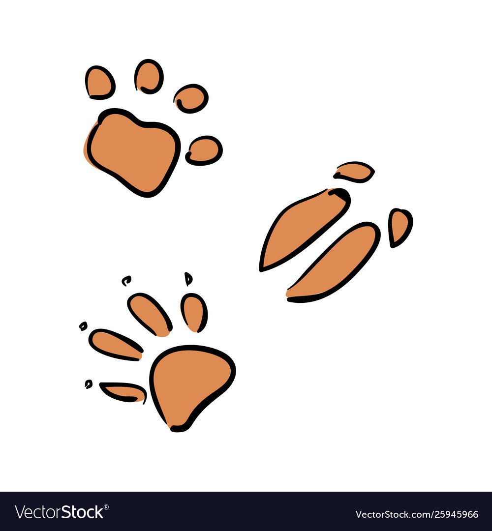 След крокодила